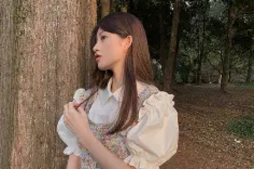 每日看料